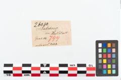 Etikett zu Bronzemehrkopfnadel (NHMW-PRAE-026080)